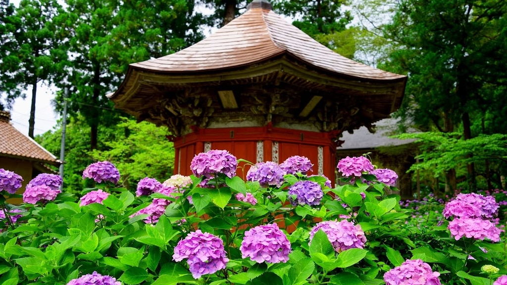 雨でも十分楽しめる！新潟県のおすすめ観光スポット6選を紹介します