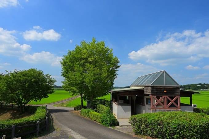 宮山ふるさとふれあい公園
