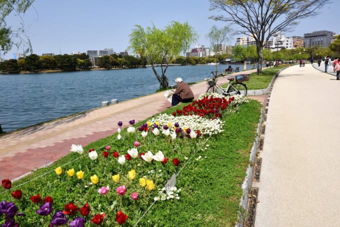 大濠公園（福岡×春）