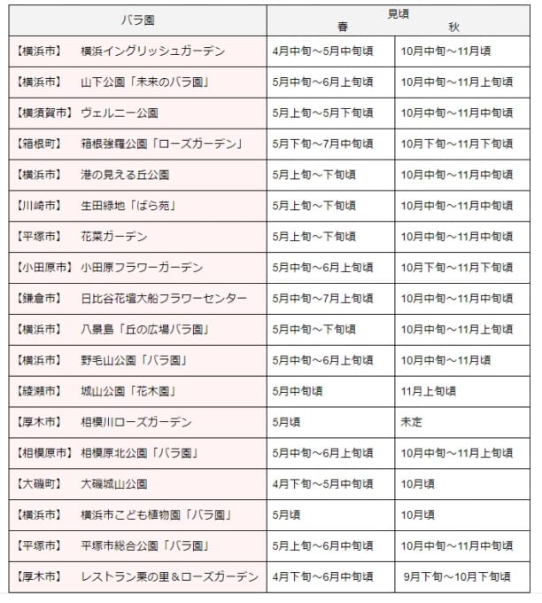 神奈川県内にある18か所のバラ園の春と秋の見頃がわかる表