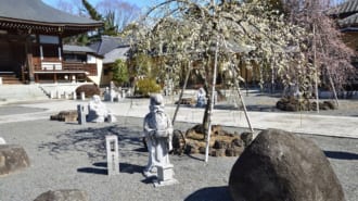 うめでら 東持寺