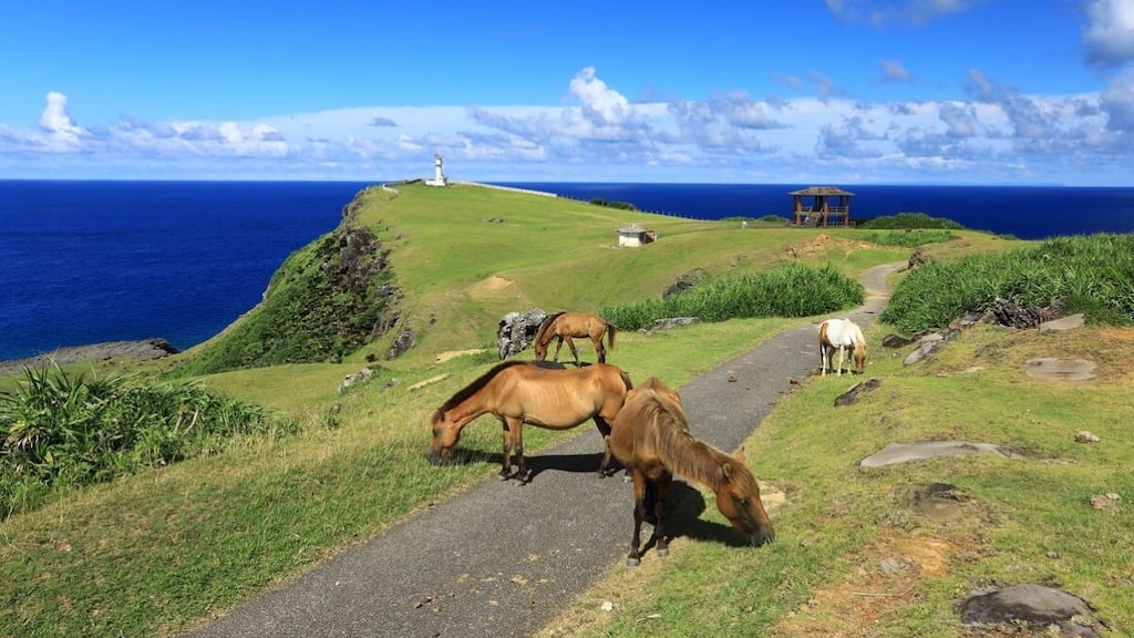 与那国島でドラマ「Dr.コトー診療所」の舞台を巡る！