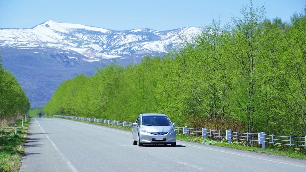 岩手観光ならレンタカーでドライブ！八幡平や三陸海岸、平泉エリアもおすすめ