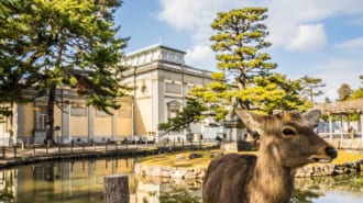 奈良国立博物館