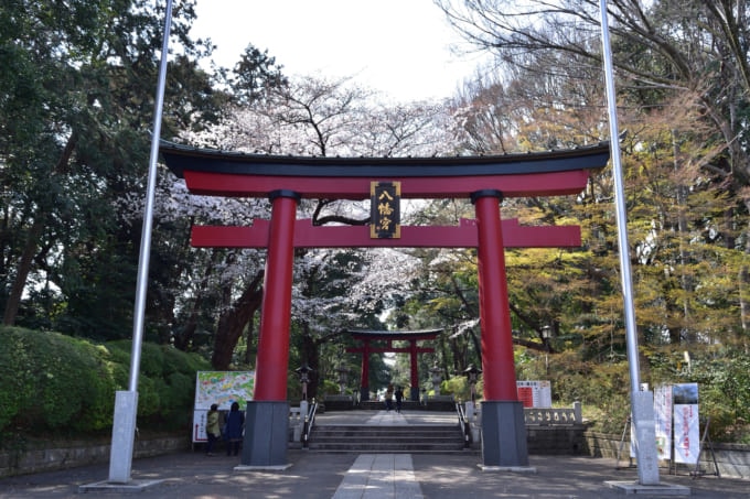 桜が綺麗な神社 東京