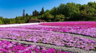 響きの森公園（奥只見レクリエーション都市公園）