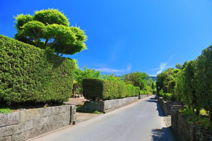 知覧武武家屋敷通り