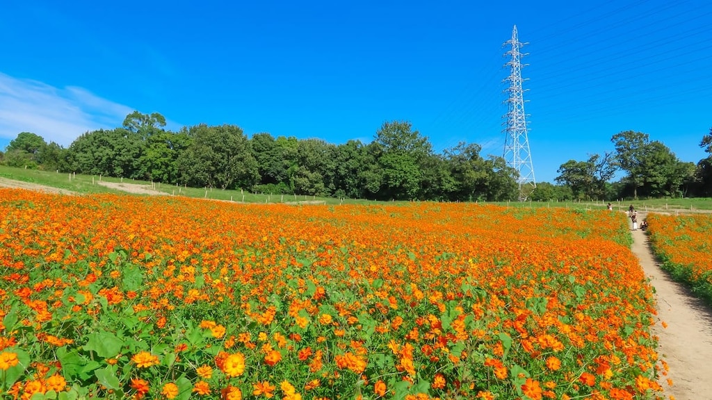 【愛知県】愛知牧場の観光情報！動物と花々が出迎える癒しスポット♪