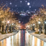 八幡坂のイルミネーション