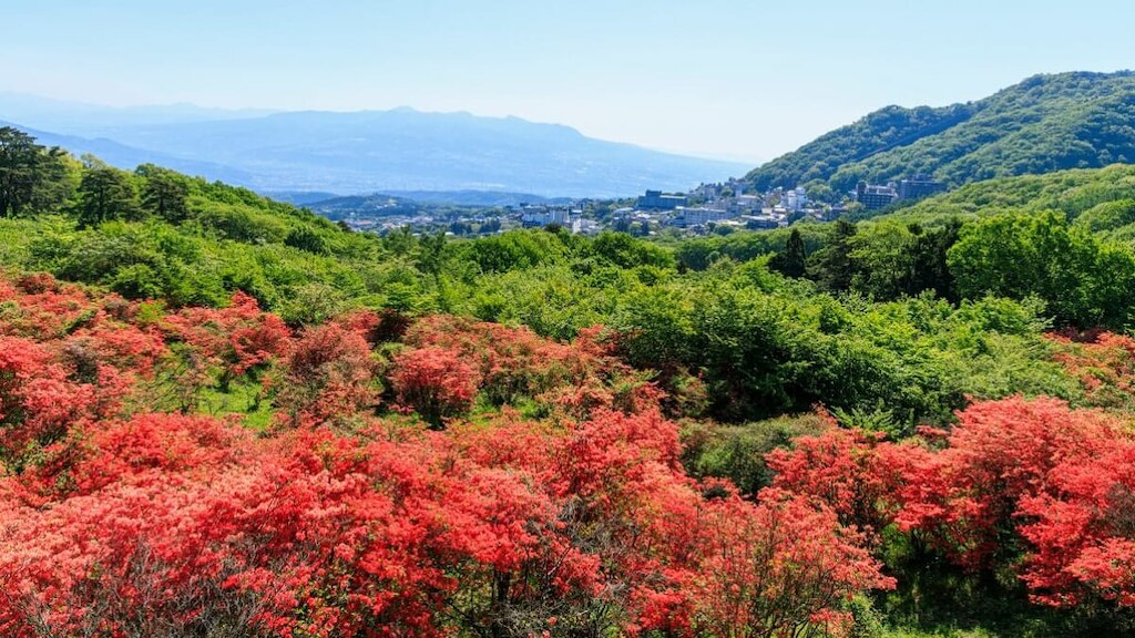 自然豊かな栃木県矢板市のおすすめ観光スポット5選
