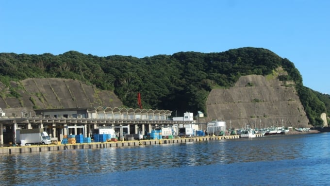 勝浦漁港（千葉県）