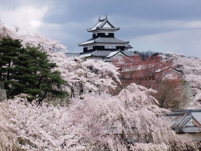 白河小峰城　桜まつり