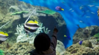 アクアワールド大洗水族館