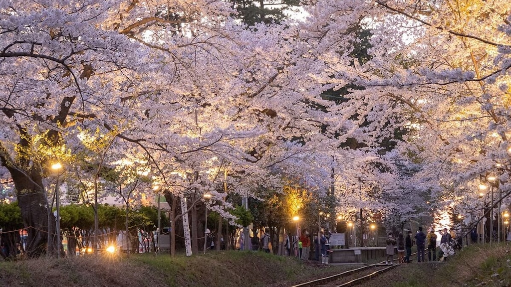 五所川原の観光スポット7選！太宰治が育った街を散策しよう！