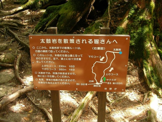 白谷雲水峡（屋久島）