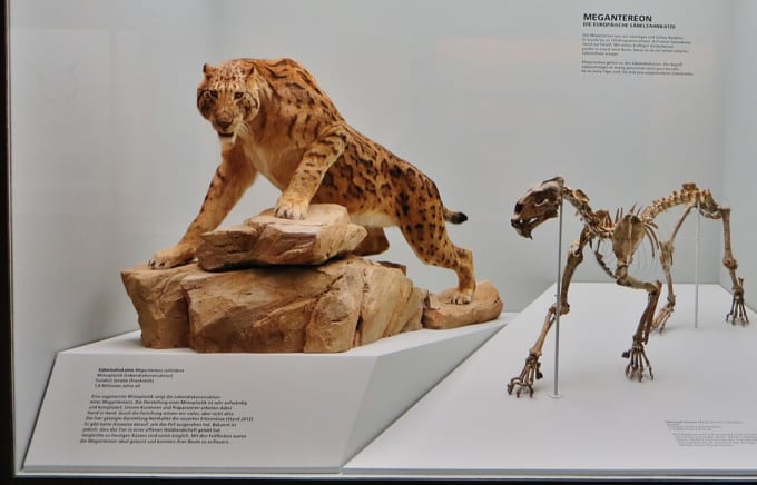 バーゼル自然史博物館