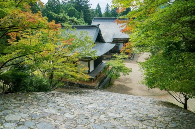 栂尾山高山寺