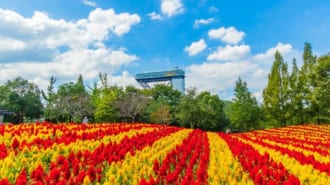 可児市　ぎふワールド・ローズガーデン