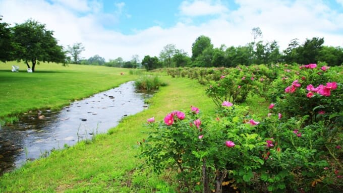北海道ガーデン街道「六花の森」