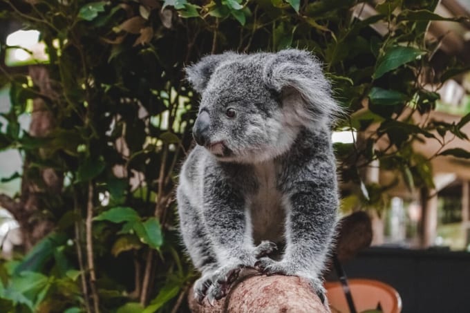 レインフォレステーション・ネイチャーパーク