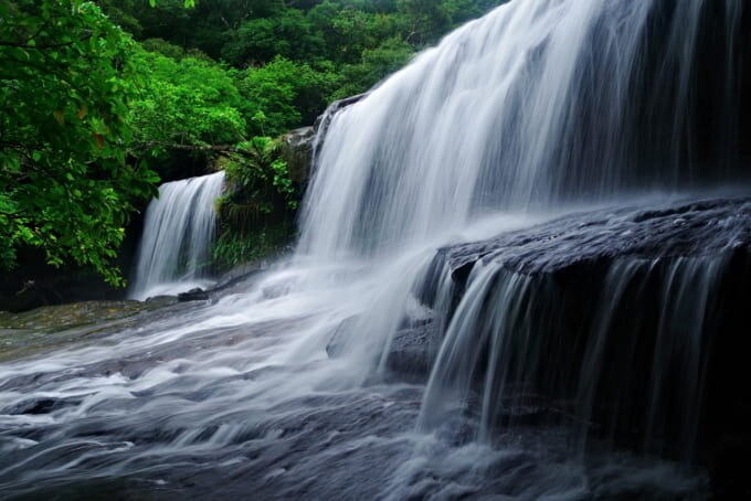 水曜どうでしょう 西表島