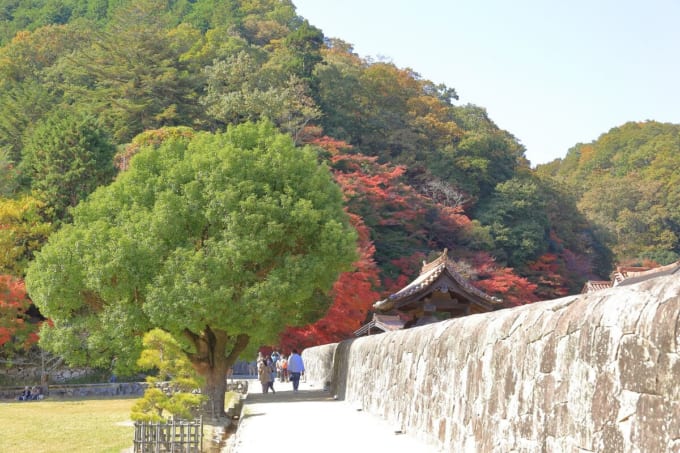 旧閑谷学校 石塀