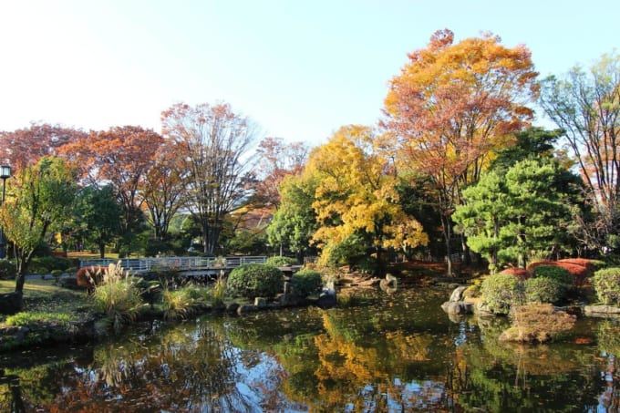 国会前庭（東京・永田町）