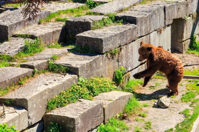 ベーレンパルク（熊公園）