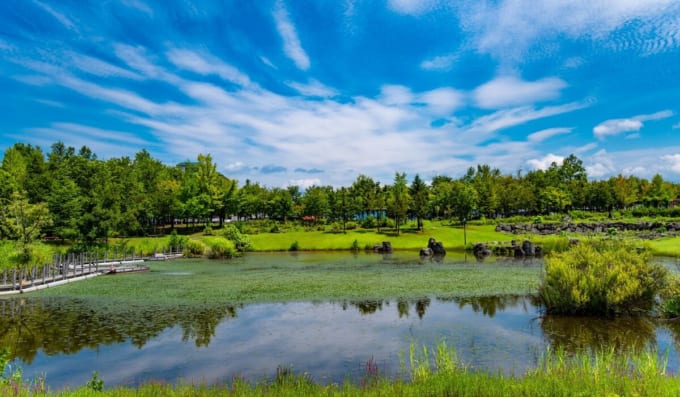 .響きの森公園（奥只見レクリエーション都市公園）