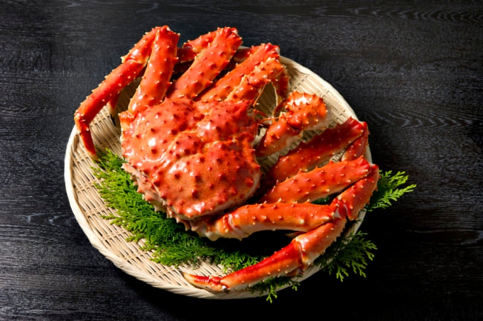 福井 カニ おすすめ ズワイガニ 3