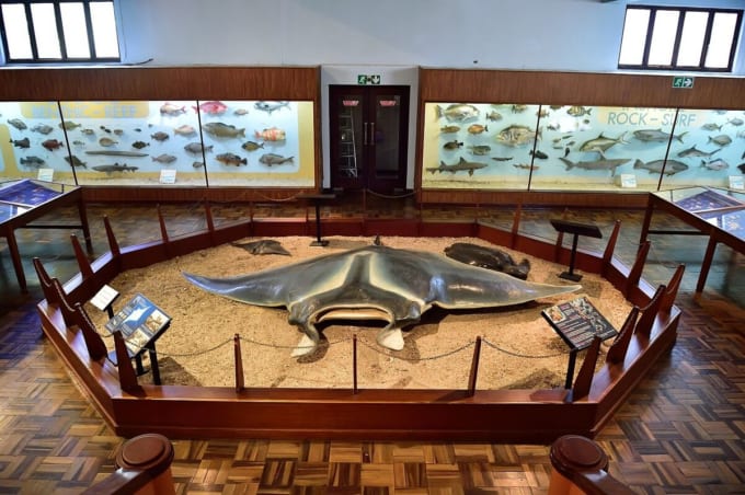 イーストロンドン博物館