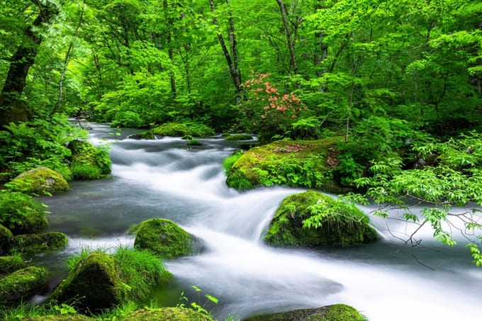 奥入瀬渓流