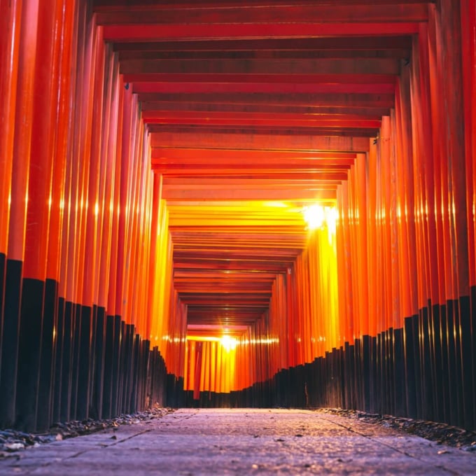 伏見稲荷大社 千本鳥居 ライトアップ