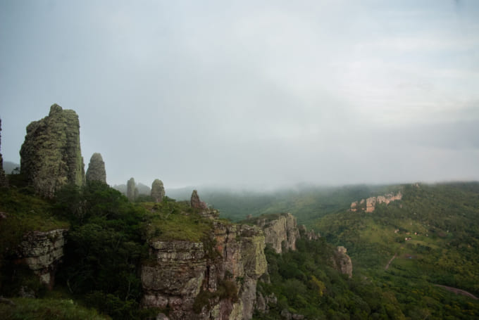 ノエル・ケンプ・メルカード国立公園（ボリビア他民族国の世界遺産）