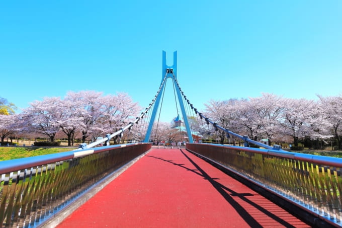 しののめさくら橋（壬生町）