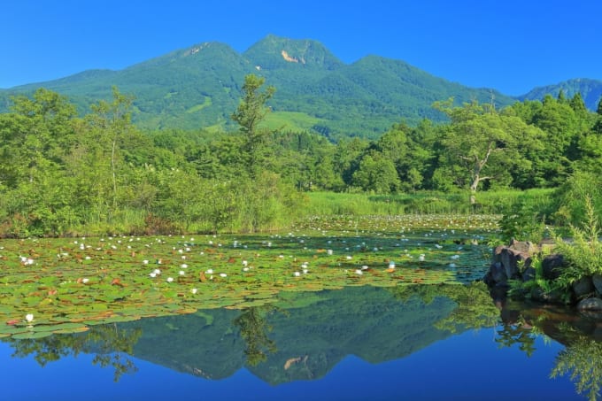 いもり池（妙高高原）