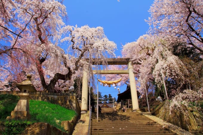 南陽市　烏帽子山公園