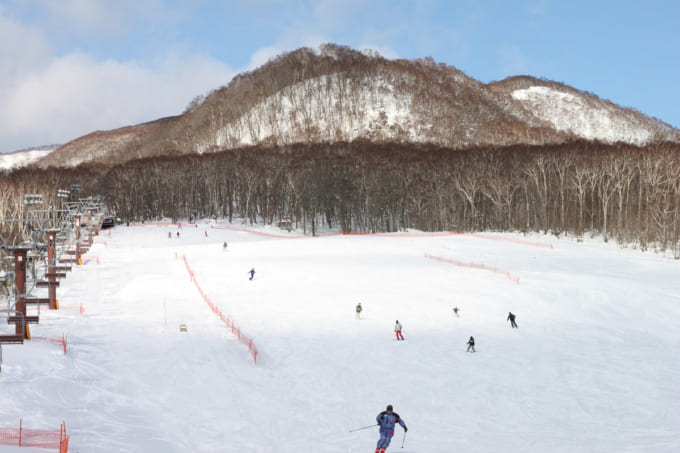 だんパラスキー場