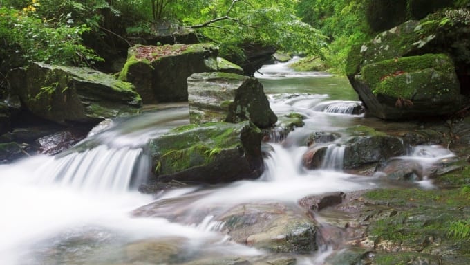 風布川・日本水