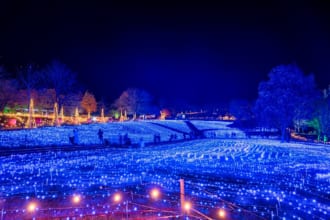 やくらいガーデン　イルミネーション