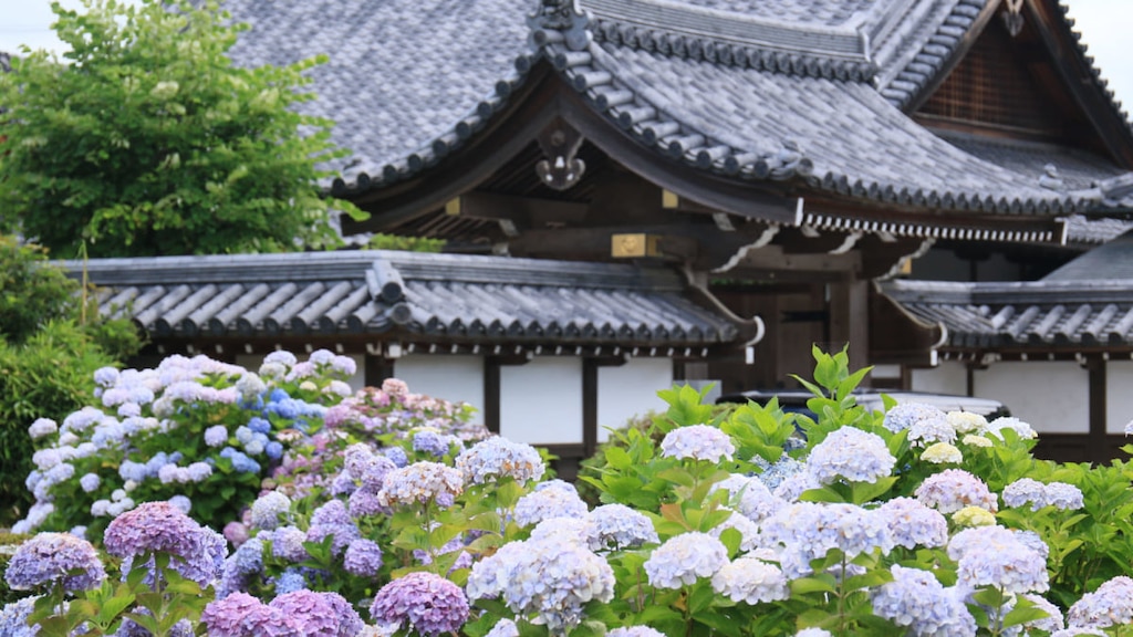 【島根】月照寺の観光情報｜松江藩の菩提寺