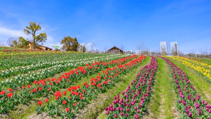 緑のミュージアム ハーベストの丘
