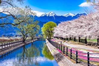 春の安曇野　桜と穂高連峰拾ヶ堰　【長野県】