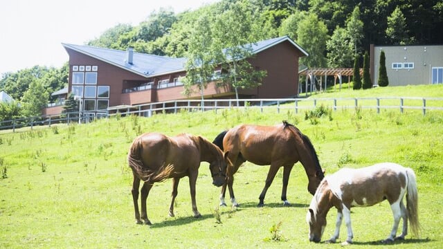 北海道・新ひだか町（静内）でおすすめのホテル｜競馬のファンと関係者は必見！