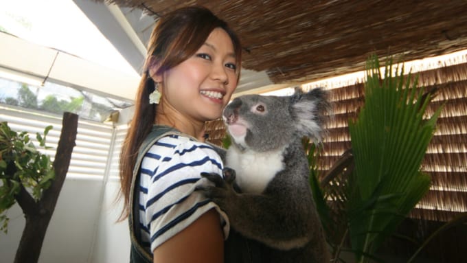 ケアンズ・コアラズ＆クリーチャーズ