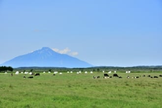 サロベツ原野と利尻山