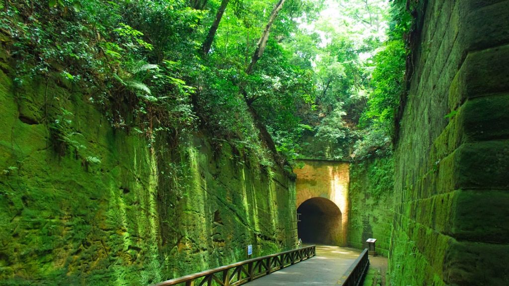 猿島の観光情報まとめ|東京湾唯一の自然島とは?
