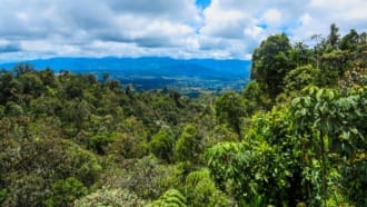 パプアニューギニア