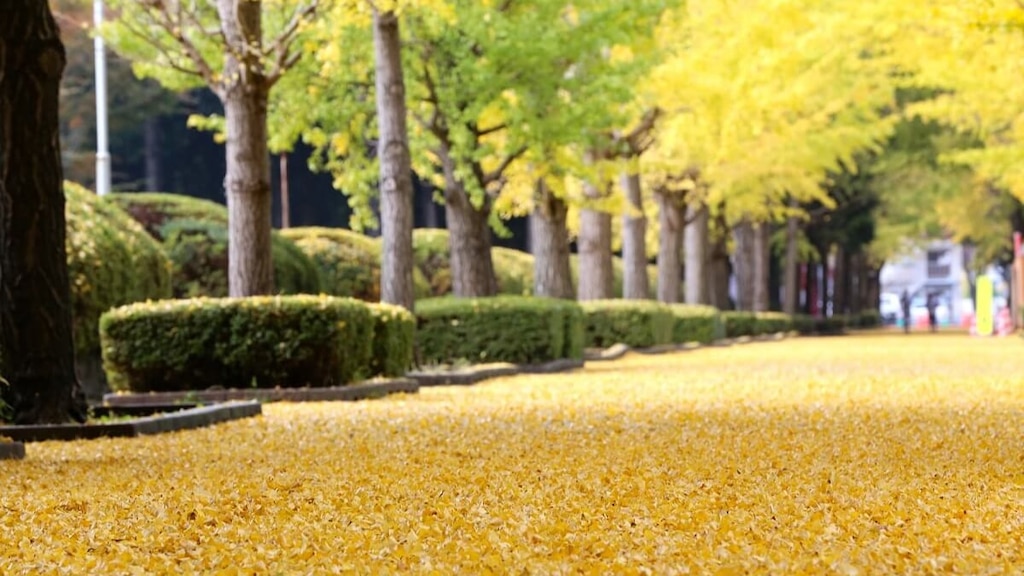 茨城県東海村の観光スポットまとめ自然と祭りでリフレッシュ！