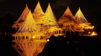 ライトアップされた兼六園（金沢）